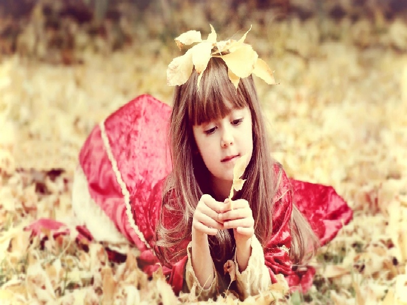 半固体试管高度(5月试管移植)